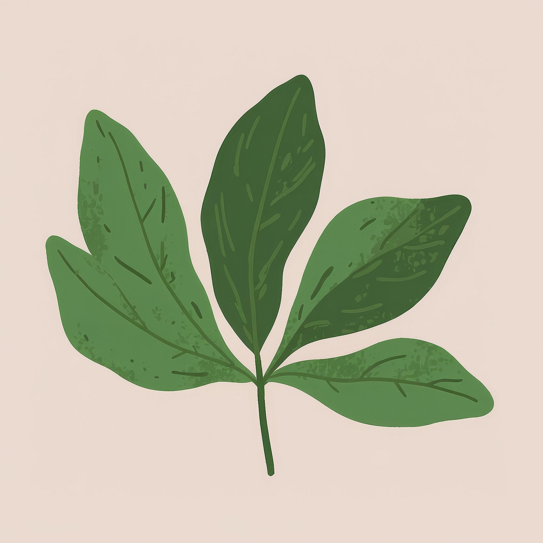 an image of water dripping off of a leaf for sustainability / sustainable beauty