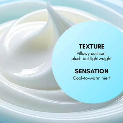 Ice Ceramide Moisturizing Cream