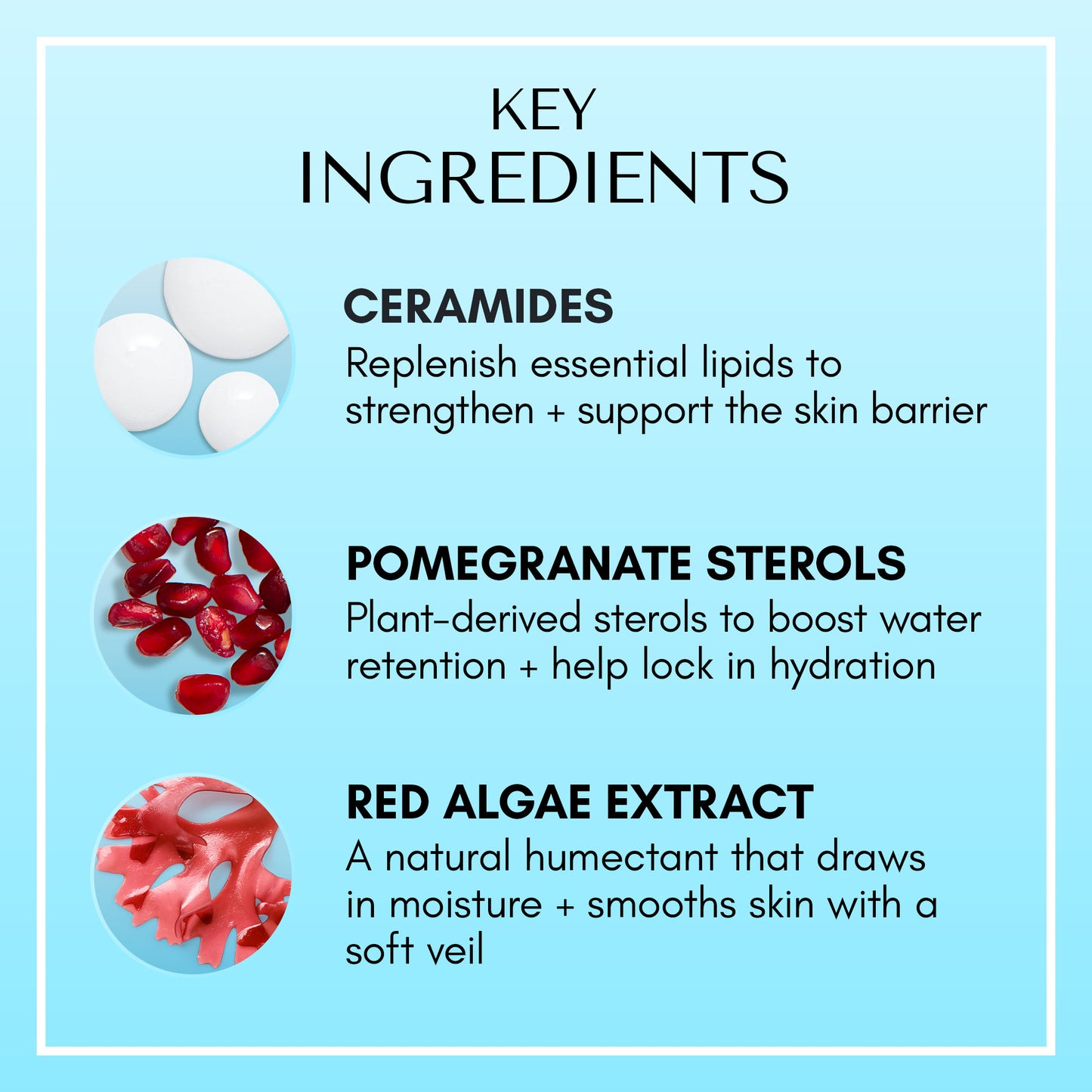 Ice Ceramide Moisturizing Cream