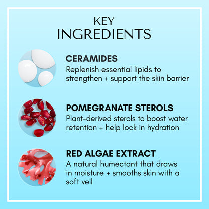 Ice Ceramide Moisturizing Cream