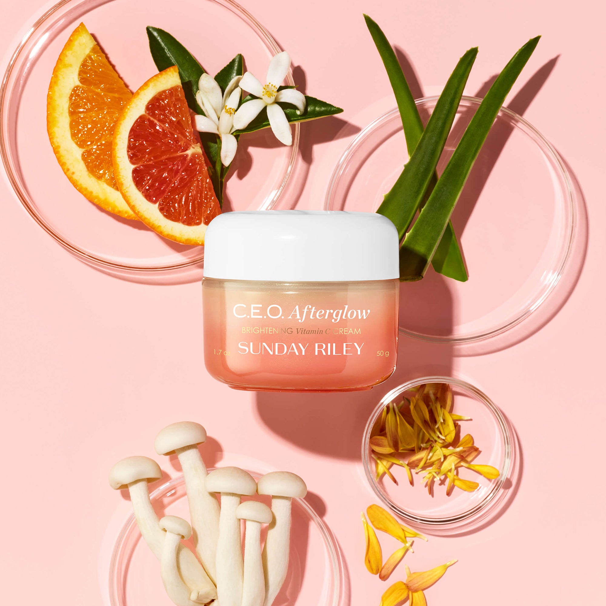 Sunday Riley CEO Afterglow Brightening Vitamin C outlets Cream