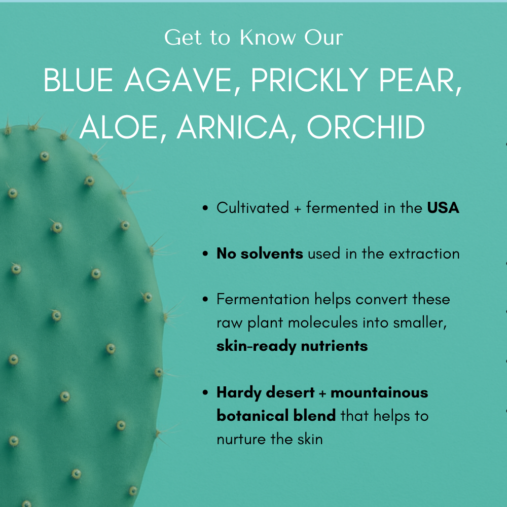 Fermented Blue Agave, Prickly Pear, Aloe, Arnica, Orchid; no solvents; made in USA