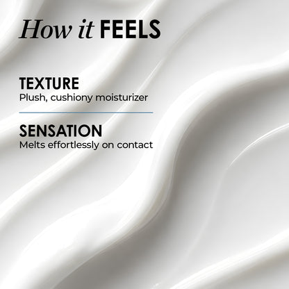 Ceramor Ceramide Barrier Replenishing Cream